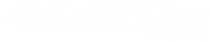 SeaVision USA logo